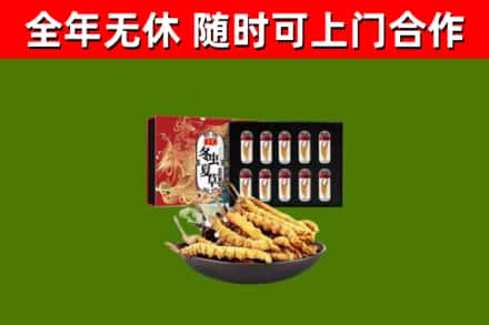 白银市烟酒回收冬虫夏草礼盒.jpg
